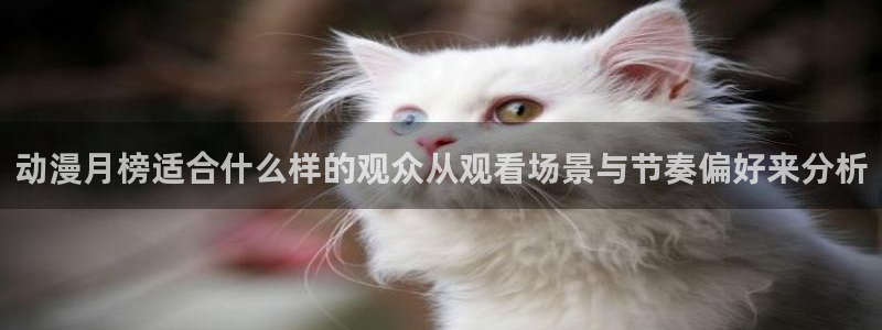 汗汗漫画高分作品大全：动漫月榜适合什么样的观众从观看场景与节奏偏好来分析配图