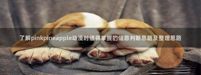 汗汗漫画大全免费:了解pinkpineapple动漫时值得掌握的信息判断思路及整理思路配图