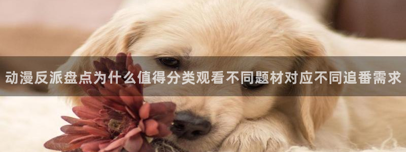 汗汗漫画哪个网站可以看：动漫反派盘点为什么值得分类观看不同题材对应不同追番需求配图